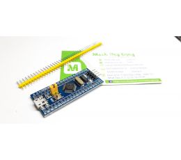 STM32F051C8T6 Development Kit (H13)