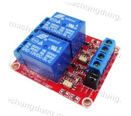Module 2 Relay 10A 12VDC H/L (H04)