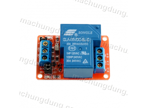 Module 1 Relay 30A 5VDC H/L (H04)