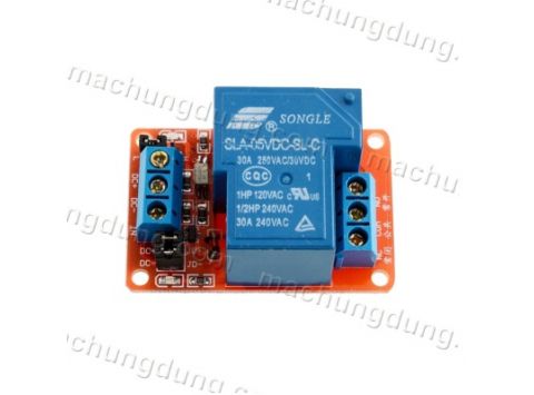 Module 1 Relay 30A 24VDC H/L (H04)