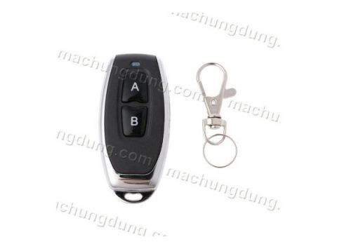 Remote RF 2B 315MHz Inox (H24)